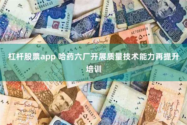 杠杆股票app 哈药六厂开展质量技术能力再提升培训