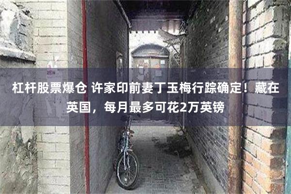 杠杆股票爆仓 许家印前妻丁玉梅行踪确定！藏在英国，每月最多可花2万英镑