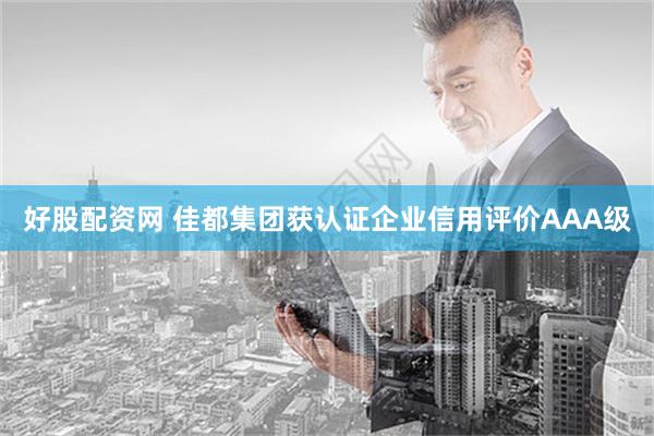 好股配资网 佳都集团获认证企业信用评价AAA级