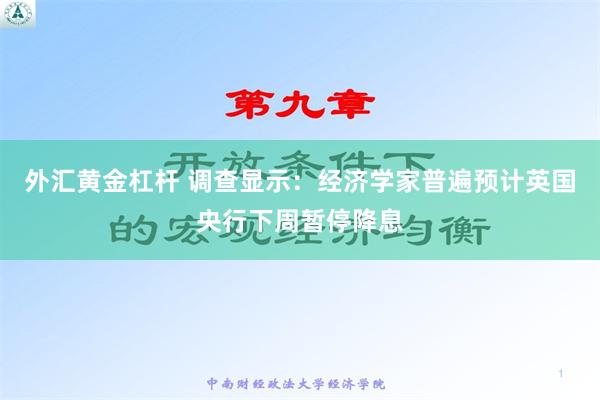 外汇黄金杠杆 调查显示：经济学家普遍预计英国央行下周暂停降息