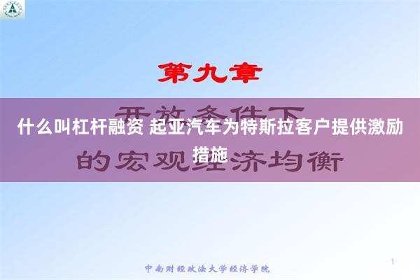 什么叫杠杆融资 起亚汽车为特斯拉客户提供激励措施