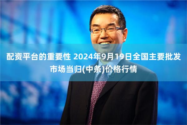 配资平台的重要性 2024年9月19日全国主要批发市场当归(中条)价格行情