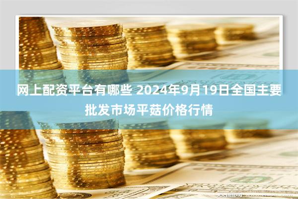 网上配资平台有哪些 2024年9月19日全国主要批发市场平菇价格行情