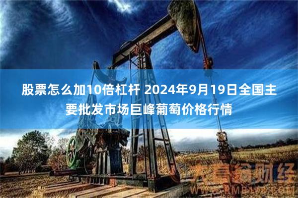 股票怎么加10倍杠杆 2024年9月19日全国主要批发市场巨峰葡萄价格行情