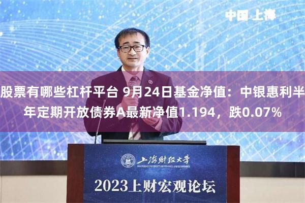 股票有哪些杠杆平台 9月24日基金净值：中银惠利半年定期开放债券A最新净值1.194，跌0.07%