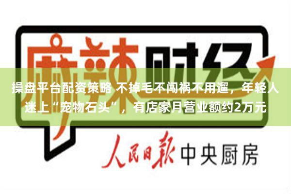 操盘平台配资策略 不掉毛不闯祸不用遛，年轻人迷上“宠物石头”，有店家月营业额约2万元