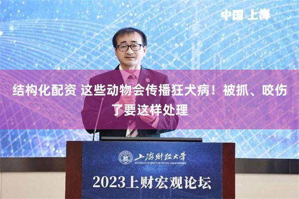 结构化配资 这些动物会传播狂犬病！被抓、咬伤了要这样处理
