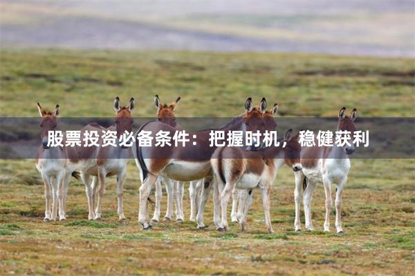 股票投资必备条件：把握时机，稳健获利
