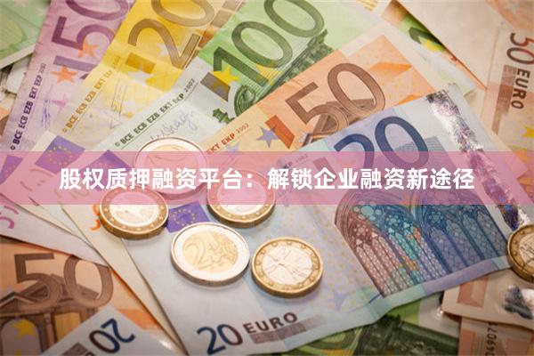 股权质押融资平台：解锁企业融资新途径