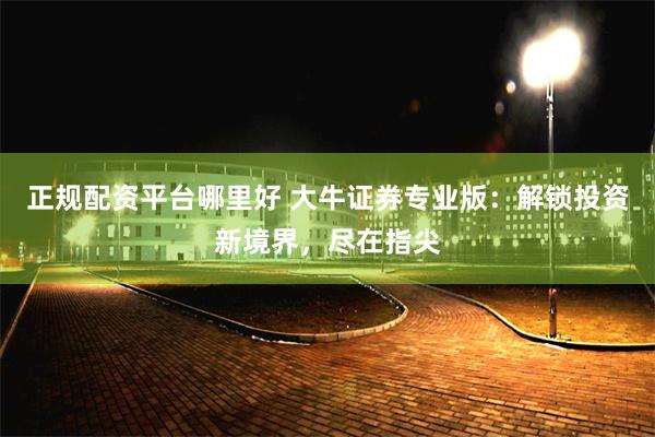 正规配资平台哪里好 大牛证券专业版：解锁投资新境界，尽在指尖