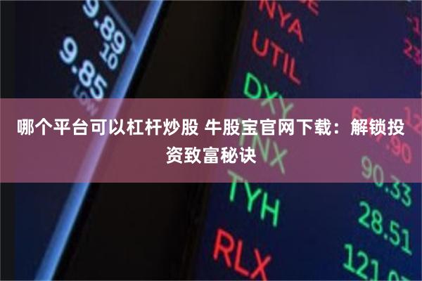 哪个平台可以杠杆炒股 牛股宝官网下载：解锁投资致富秘诀