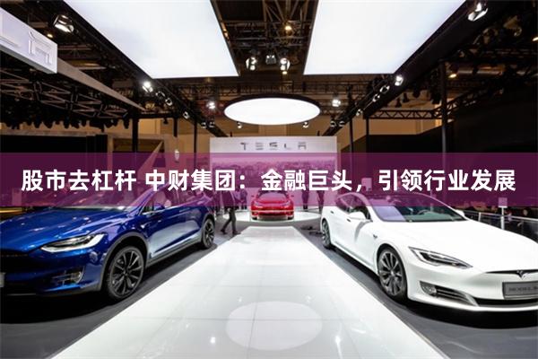 股市去杠杆 中财集团：金融巨头，引领行业发展