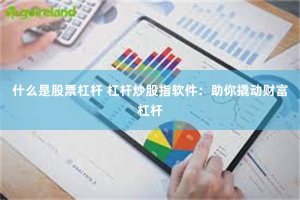 什么是股票杠杆 杠杆炒股指软件：助你撬动财富杠杆