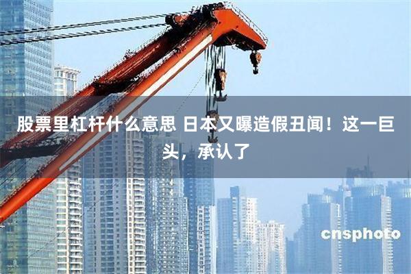 股票里杠杆什么意思 日本又曝造假丑闻！这一巨头，承认了