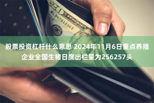 股票投资杠杆什么意思 2024年11月6日重点养殖企业全国生猪日度出栏量为256257头