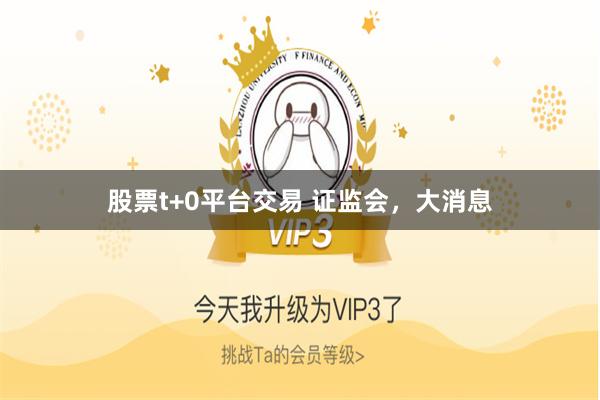 股票t+0平台交易 证监会，大消息