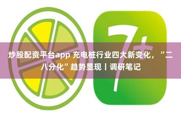 炒股配资平台app 充电桩行业四大新变化，“二八分化”趋势显现丨调研笔记