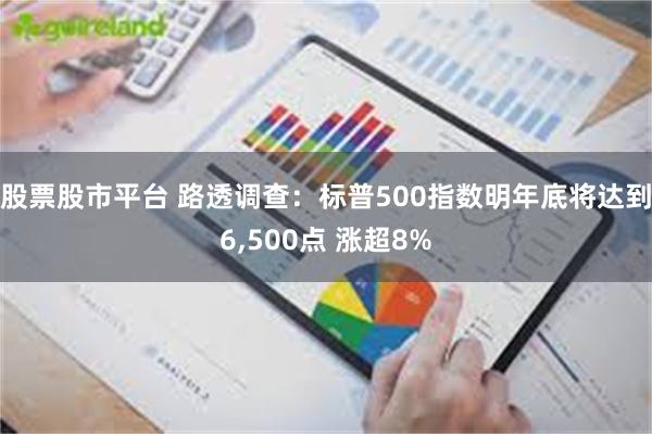 股票股市平台 路透调查：标普500指数明年底将达到6,500点 涨超8%