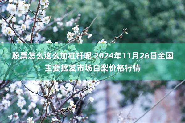 股票怎么这么加杠杆呢 2024年11月26日全国主要批发市场白梨价格行情