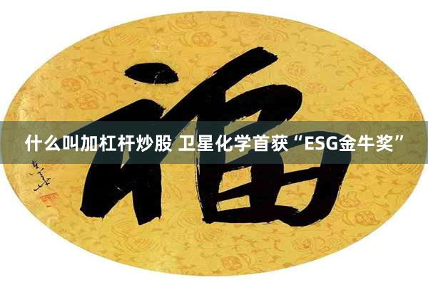 什么叫加杠杆炒股 卫星化学首获“ESG金牛奖”