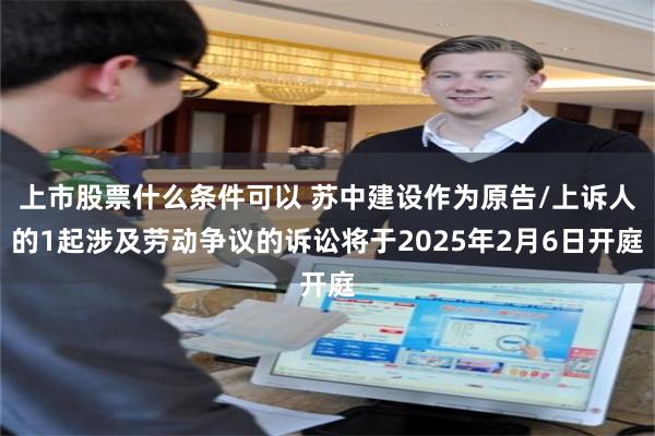 上市股票什么条件可以 苏中建设作为原告/上诉人的1起涉及劳动争议的诉讼将于2025年2月6日开庭