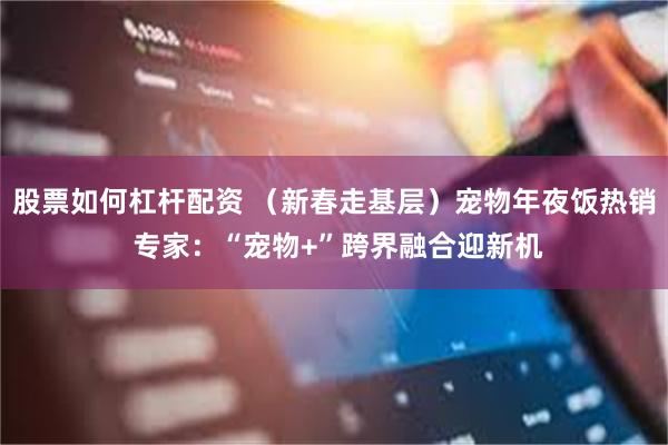 股票如何杠杆配资 （新春走基层）宠物年夜饭热销 专家：“宠物+”跨界融合迎新机