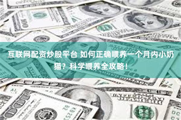 互联网配资炒股平台 如何正确喂养一个月内小奶猫？科学喂养全攻略！