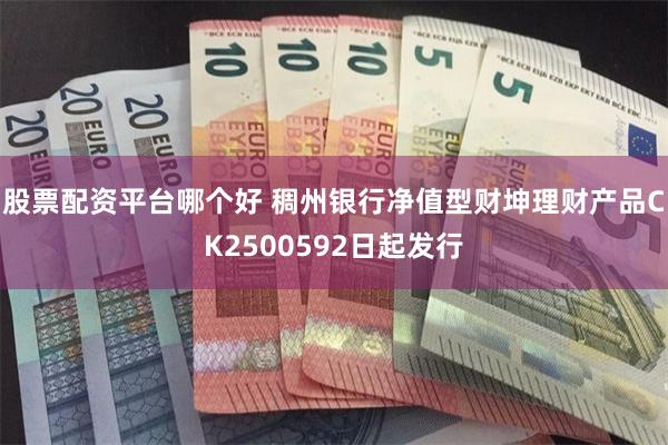 股票配资平台哪个好 稠州银行净值型财坤理财产品CK2500592日起发行