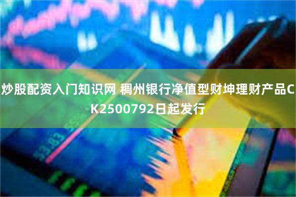 炒股配资入门知识网 稠州银行净值型财坤理财产品CK2500792日起发行