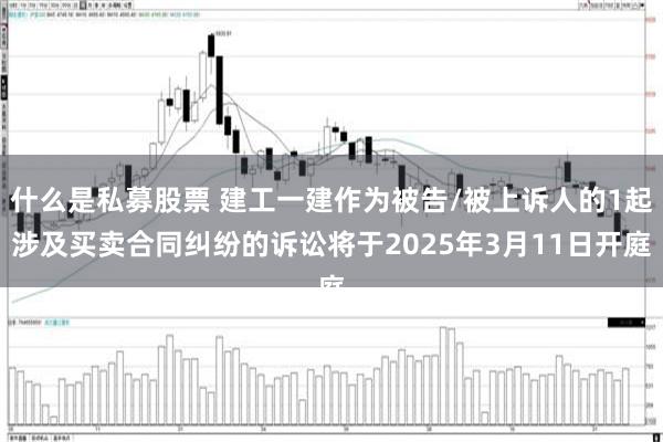 什么是私募股票 建工一建作为被告/被上诉人的1起涉及买卖合同纠纷的诉讼将于2025年3月11日开庭