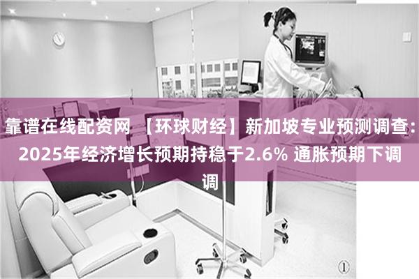 靠谱在线配资网 【环球财经】新加坡专业预测调查：2025年经济增长预期持稳于2.6% 通胀预期下调