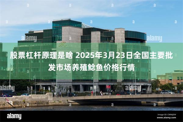 股票杠杆原理是啥 2025年3月23日全国主要批发市场养殖鲶鱼价格行情