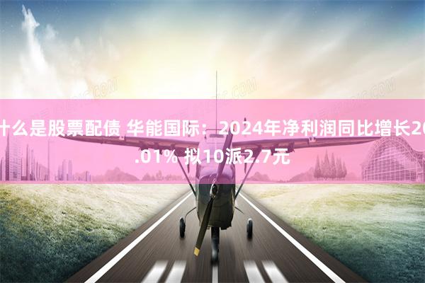 什么是股票配债 华能国际：2024年净利润同比增长20.01% 拟10派2.7元
