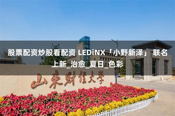 股票配资炒股看配资 LEDiNX「小野新泽」 联名上新_治愈_夏日_色彩
