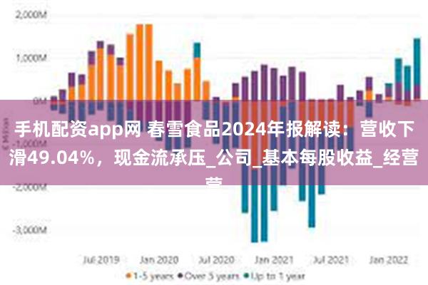 手机配资app网 春雪食品2024年报解读：营收下滑49.04%，现金流承压_公司_基本每股收益_经营