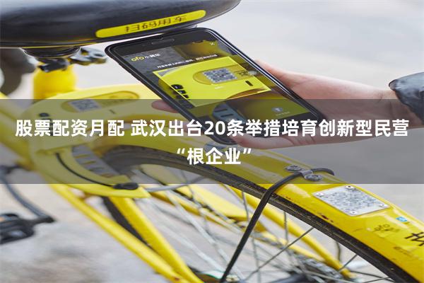 股票配资月配 武汉出台20条举措培育创新型民营“根企业”