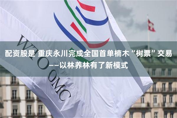 配资股是 重庆永川完成全国首单楠木“树票”交易——以林养林有了新模式