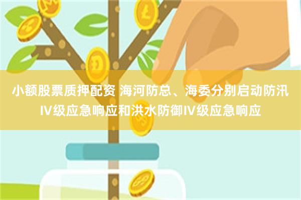小额股票质押配资 海河防总、海委分别启动防汛Ⅳ级应急响应和洪水防御Ⅳ级应急响应
