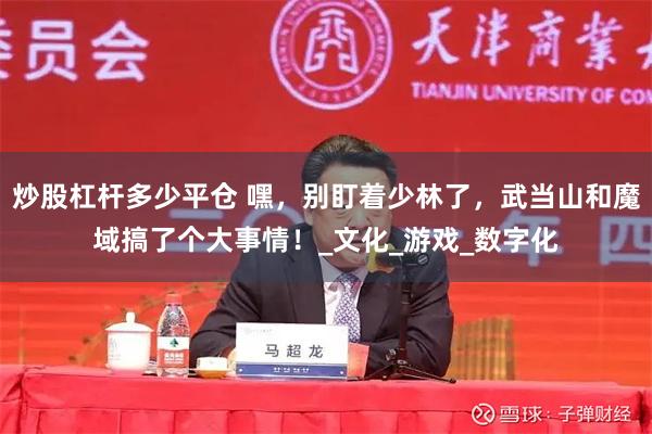 炒股杠杆多少平仓 嘿，别盯着少林了，武当山和魔域搞了个大事情！_文化_游戏_数字化