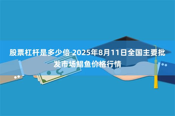 股票杠杆是多少倍 2025年8月11日全国主要批发市场鲳鱼价格行情