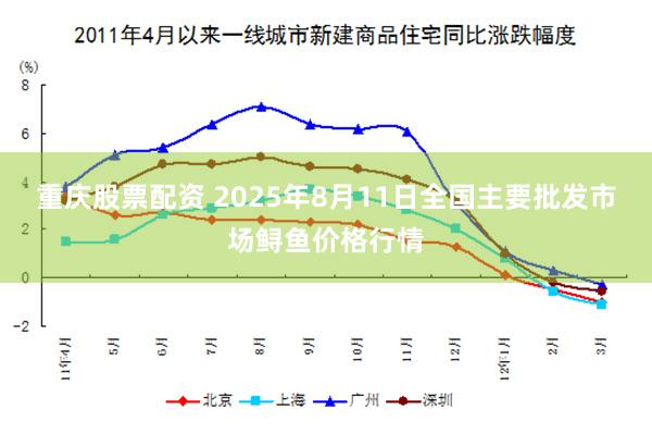 重庆股票配资 2025年8月11日全国主要批发市场鲟鱼价格行情
